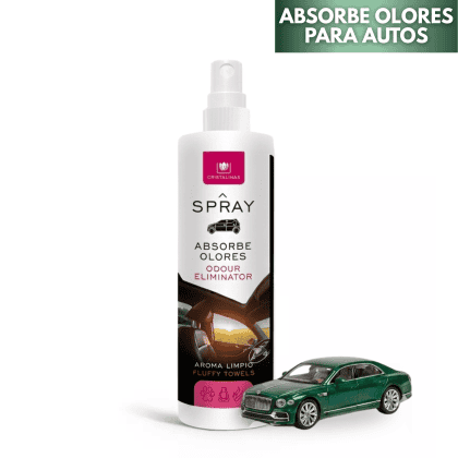 Spray Absorbe Olores - Para Autos 100ml